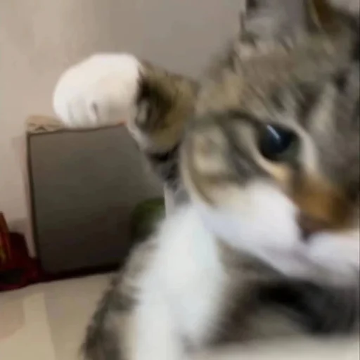 หีหมายังกว้างกว่าใจเทอ☆