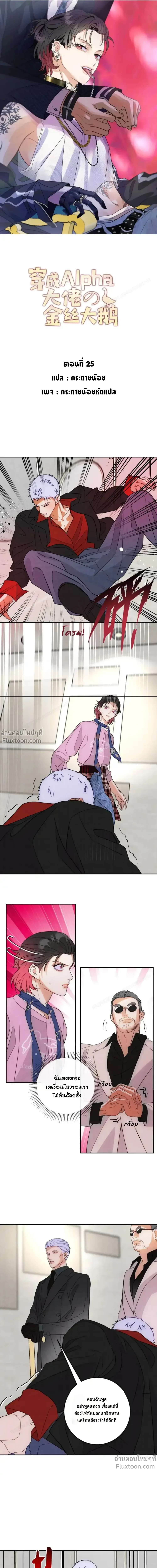 Transmigrated as the Alpha Boss's Golden Goose - ทะลุมิติมาเป็นห่านทองคำของบอสอัลฟ่า ตอนที่ 25 - รูปที่ 1