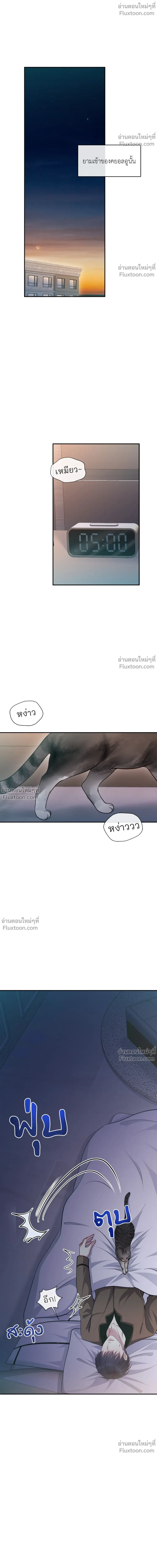 เส้นทางดวงดาว The Path of Star ตอนที่ 75 - รูปที่ 1