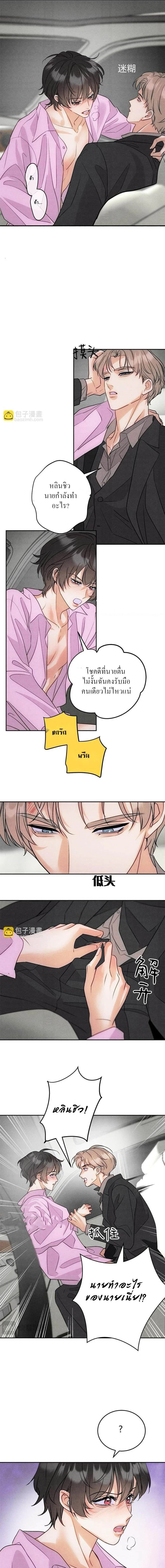 Transmigrated as the Alpha Boss's Golden Goose - ทะลุมิติมาเป็นห่านทองคำของบอสอัลฟ่า ตอนที่ 10 - รูปที่ 2