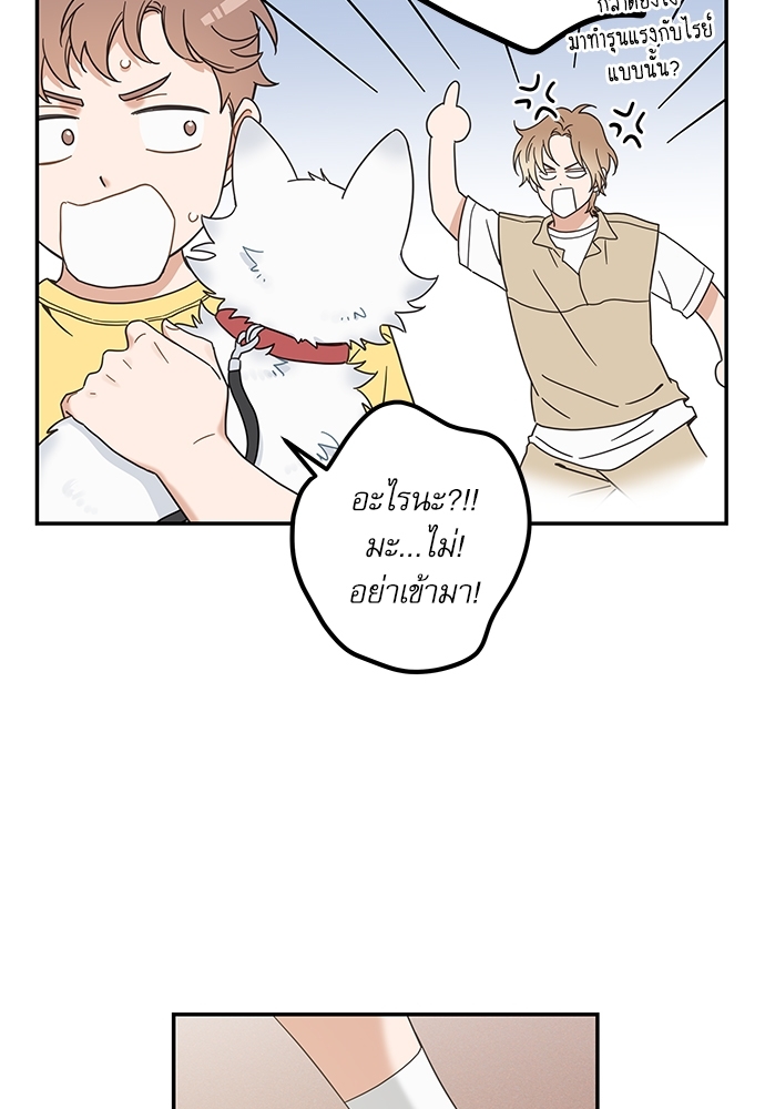หน้า 62