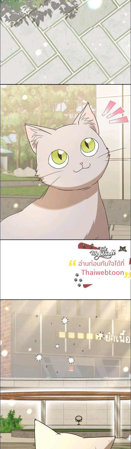 สวัสดีงับ คุณสัตวแพทย์ | Hello! Veterinarian! ตอนที่ 81 - รูปที่ 2