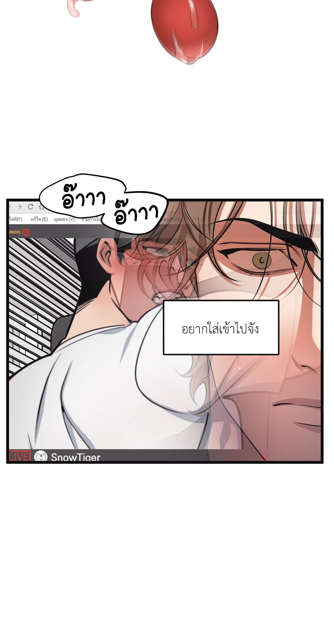 หน้า 30