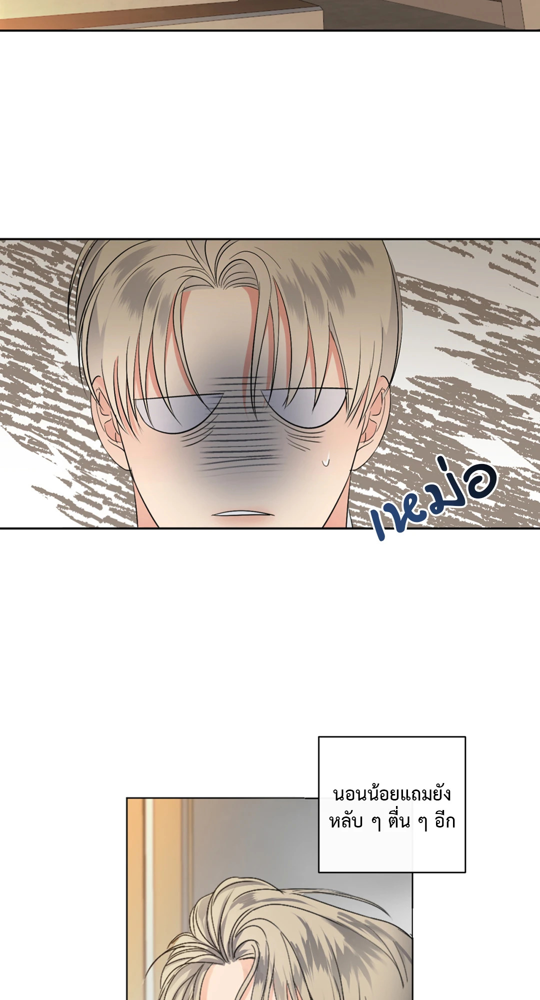 หน้า 29