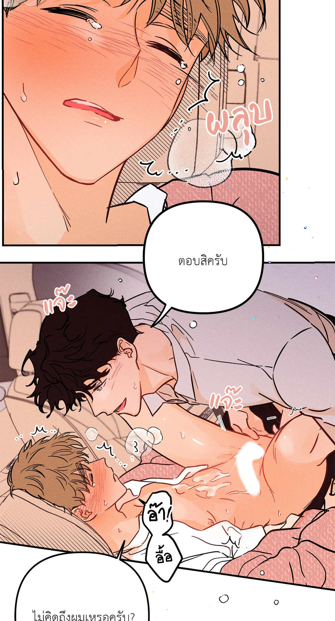 หน้า 41