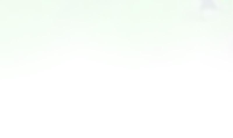 หน้า 102