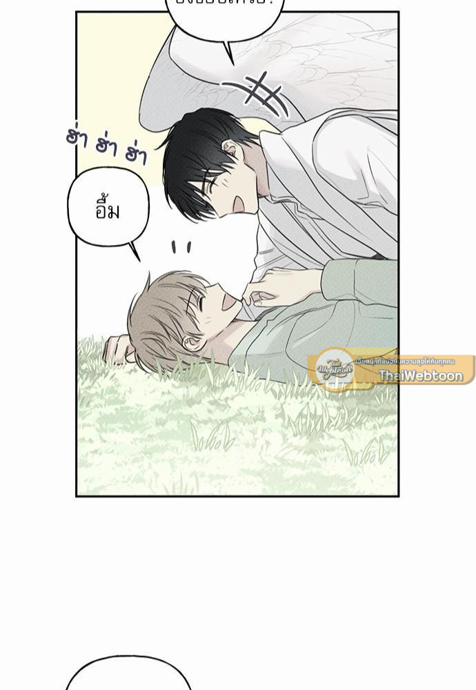หน้า 43