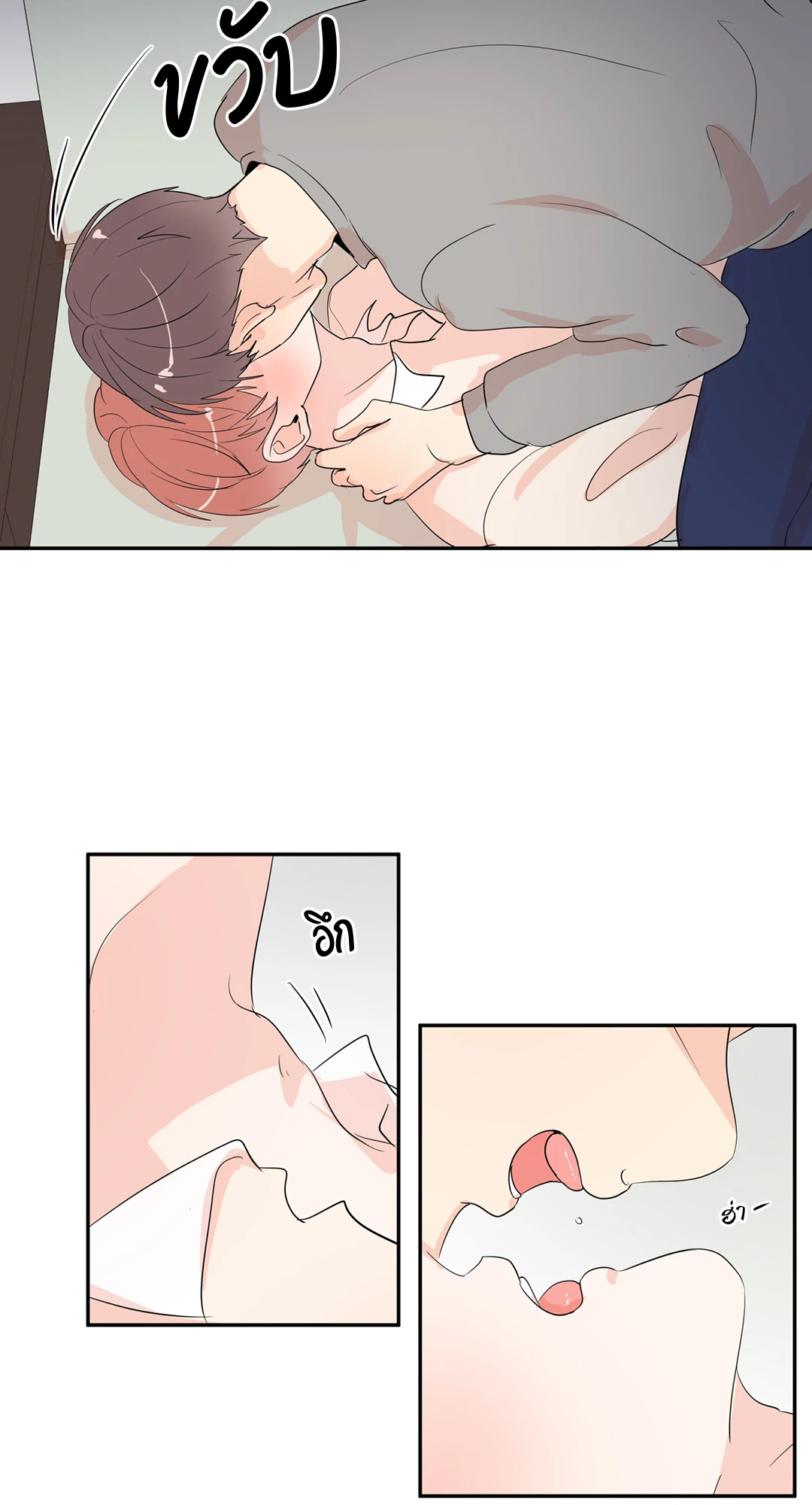 หน้า 43