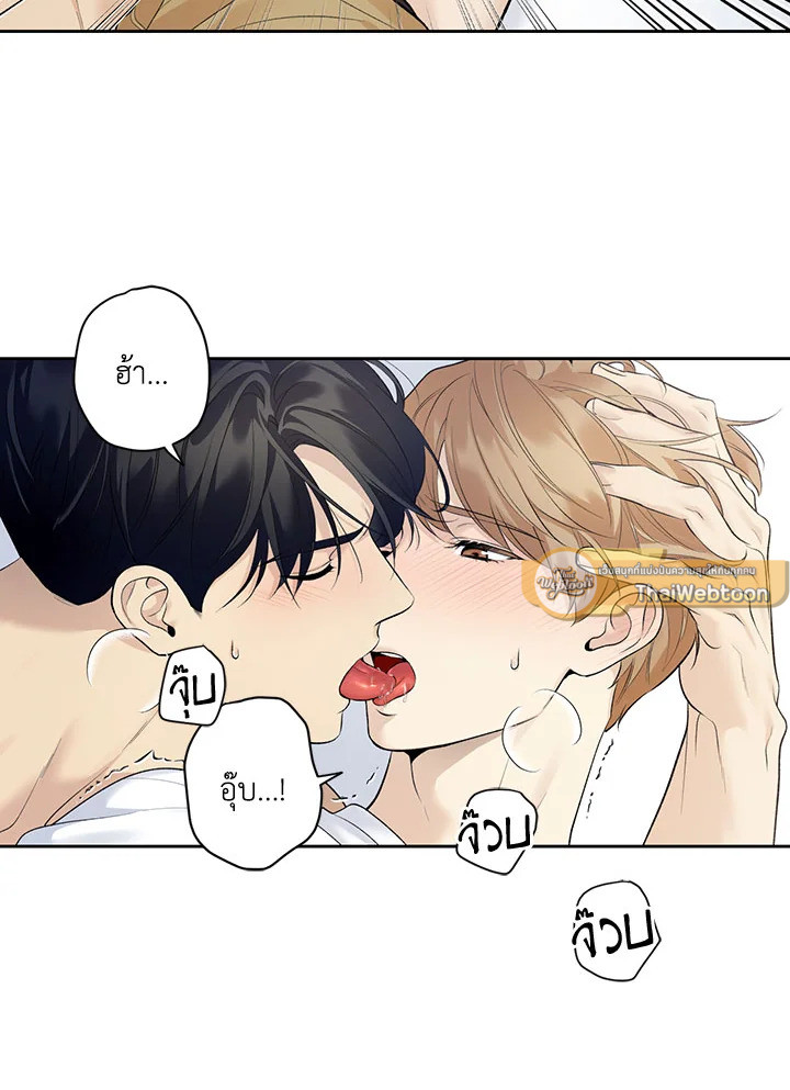 หน้า 61