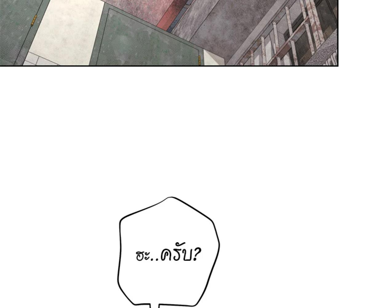 หน้า 101