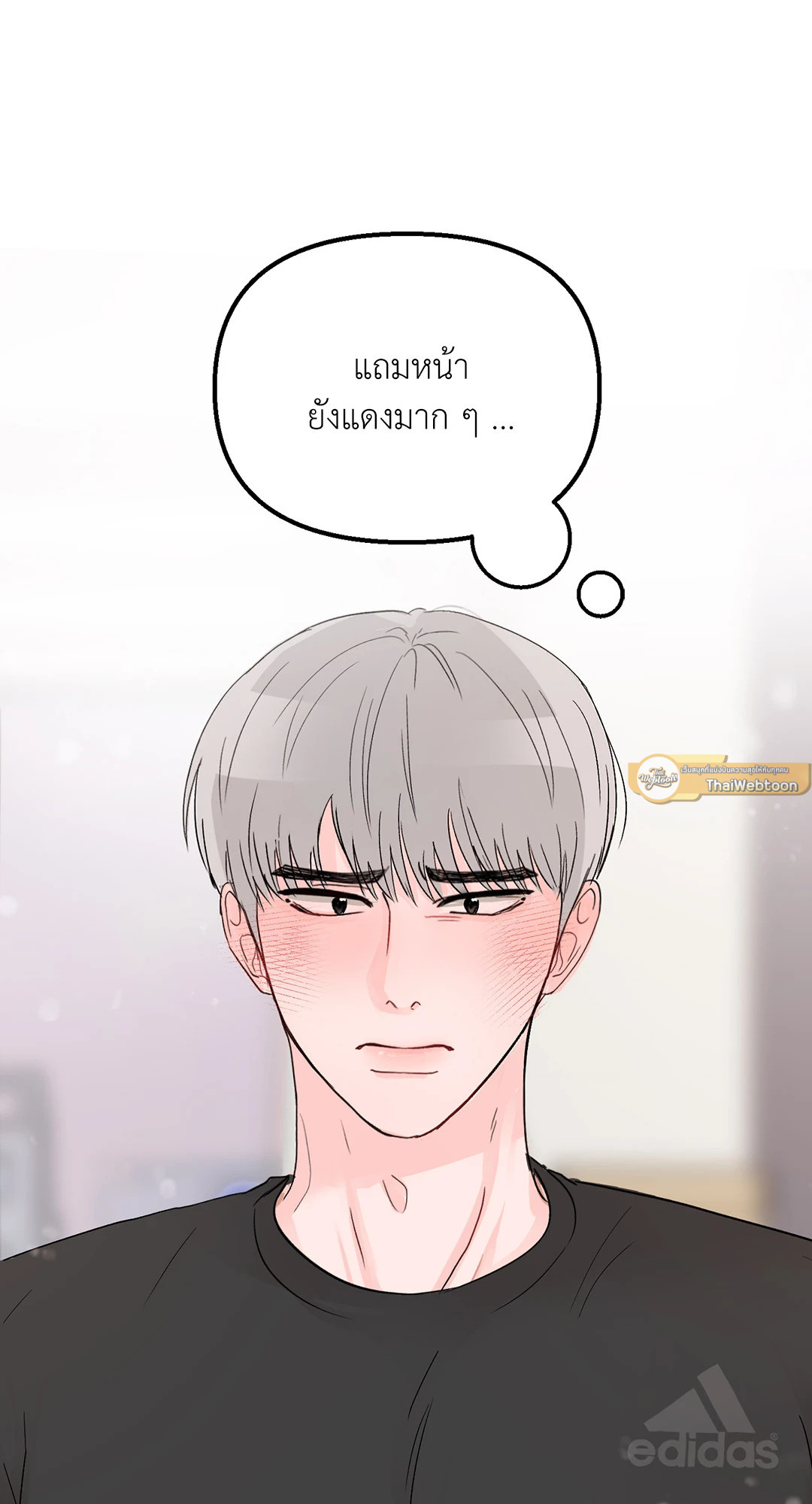 หน้า 43