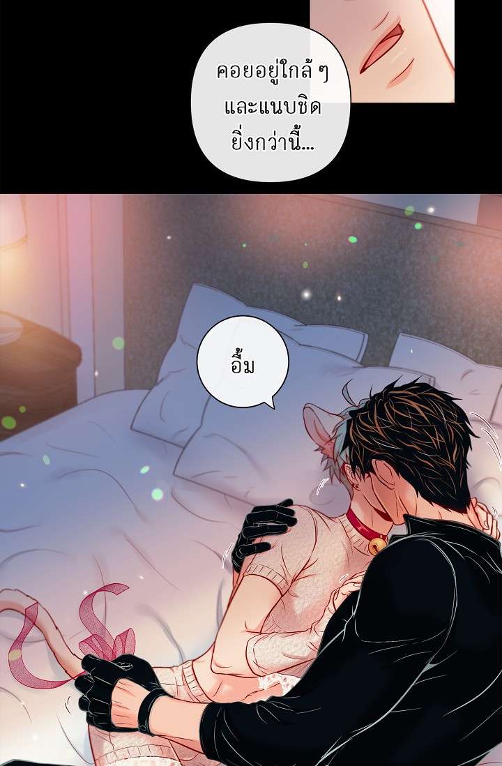 หน้า 38