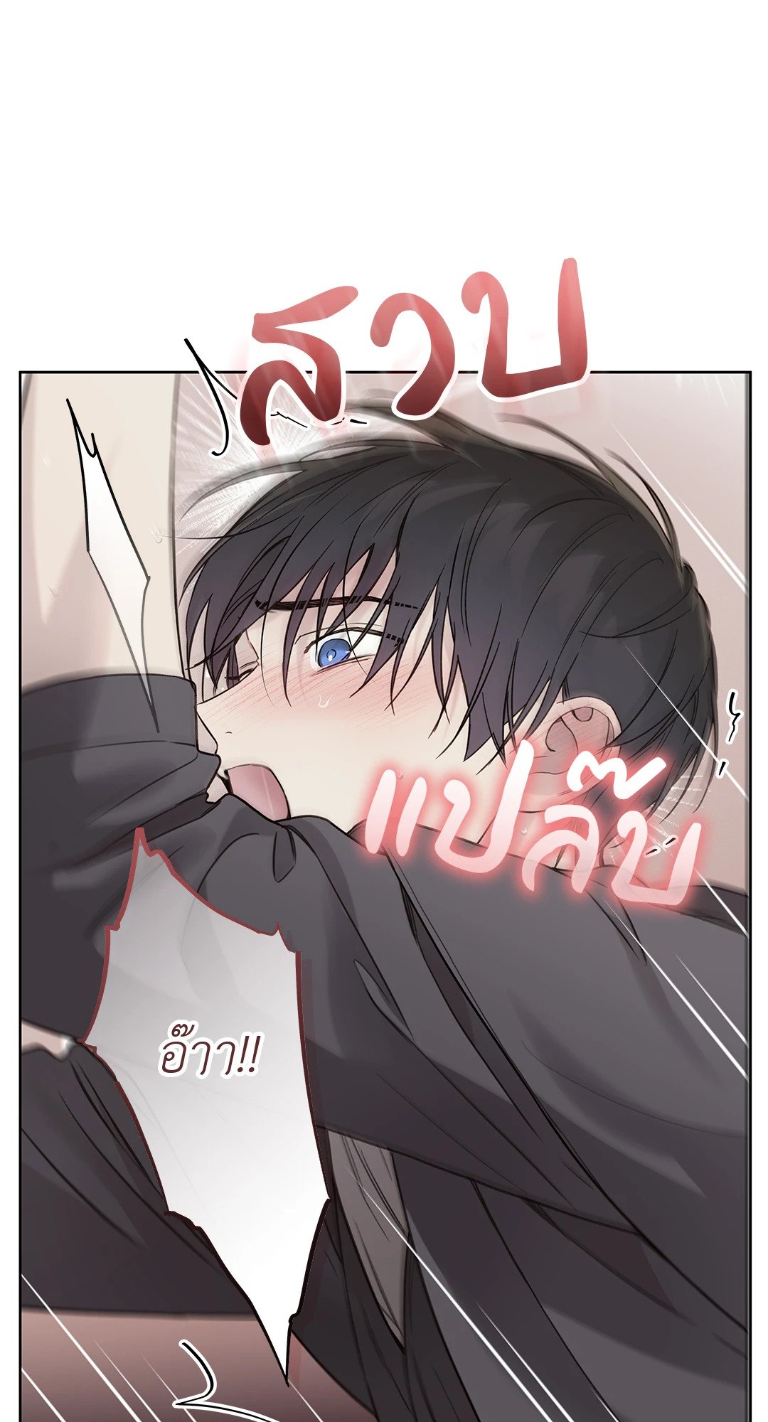 หน้า 41