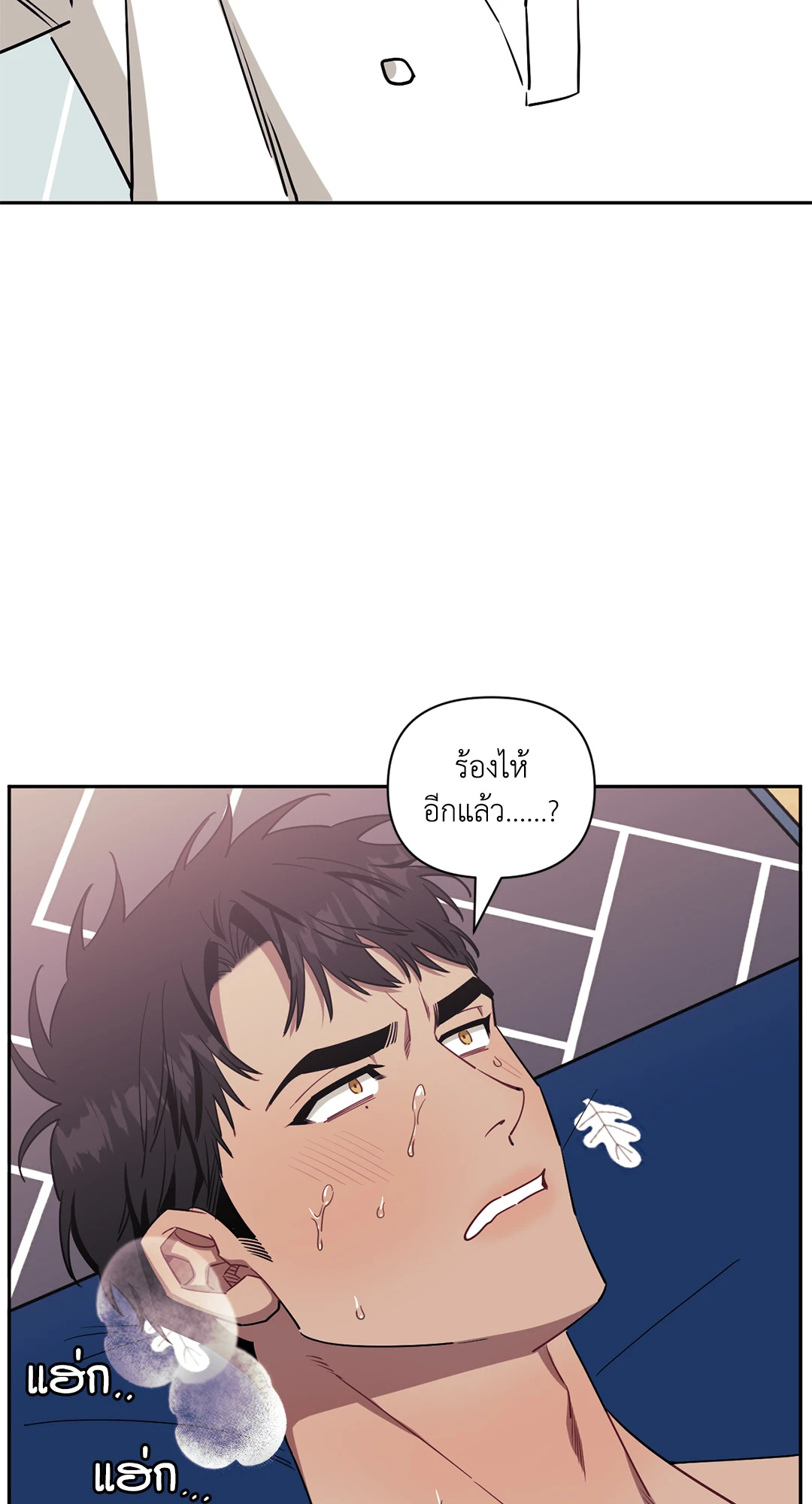 หน้า 52