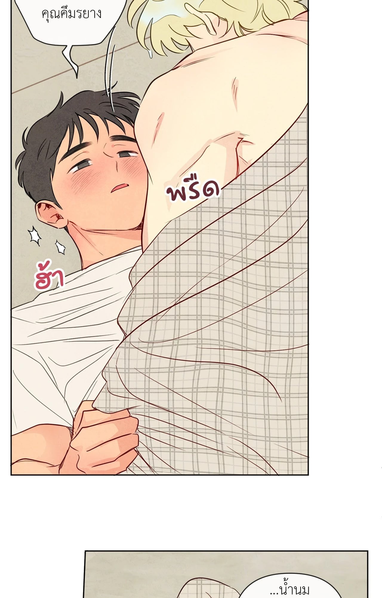 หน้า 29
