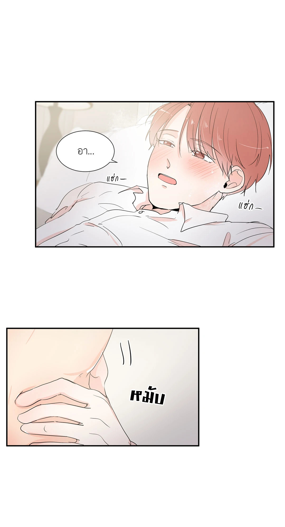หน้า 43