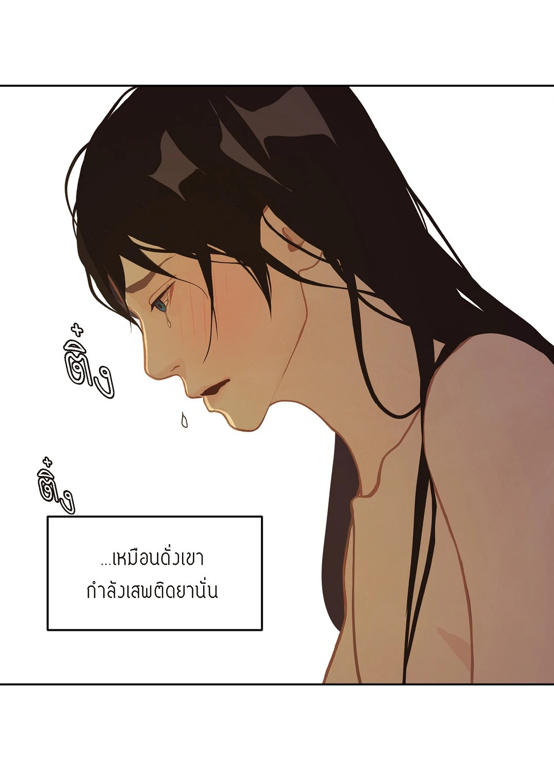 หน้า 41