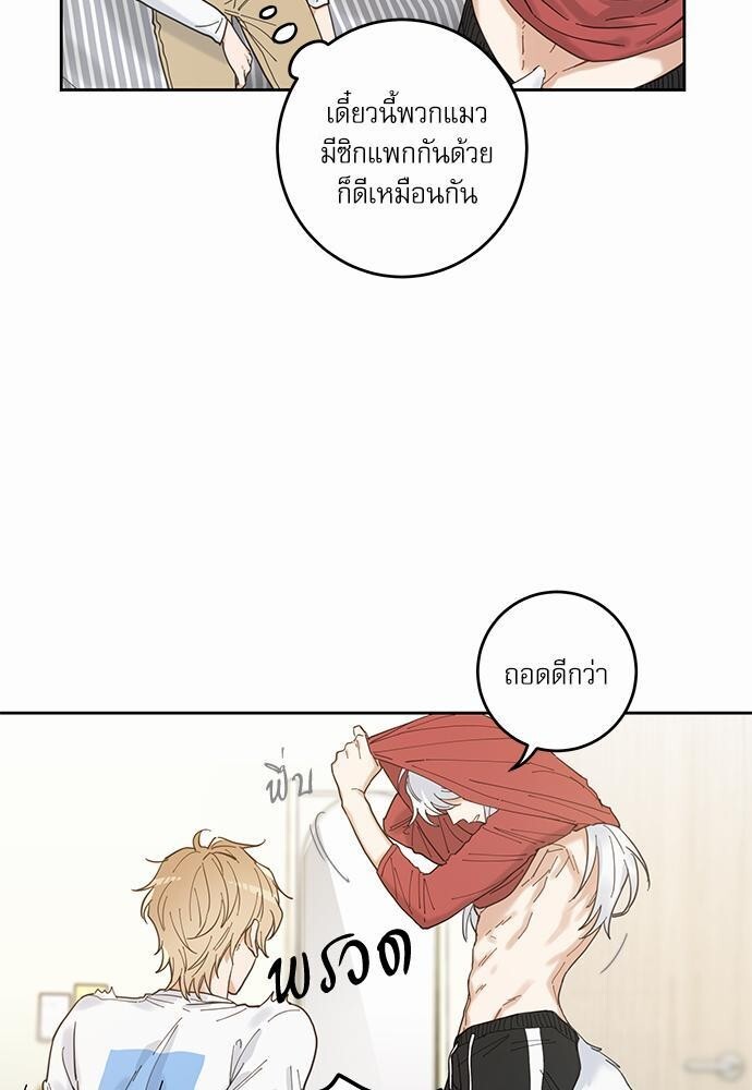 หน้า 33