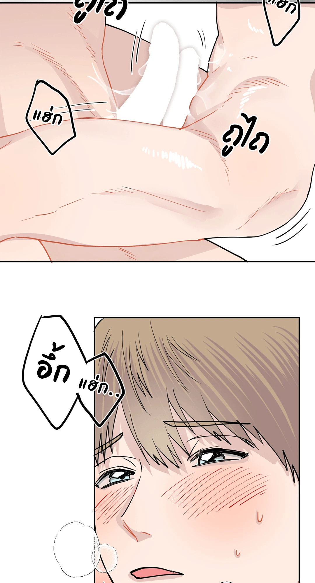 หน้า 43