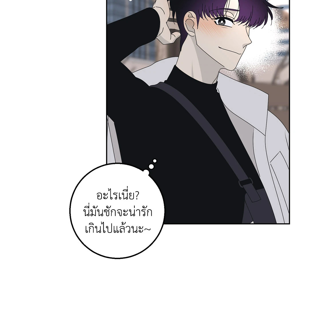 หน้า 43