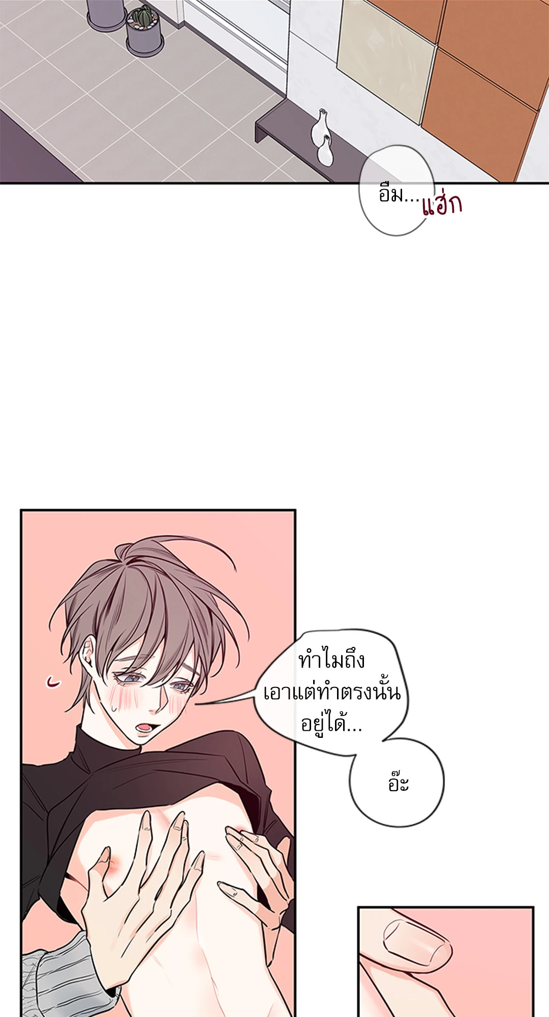 หน้า 29