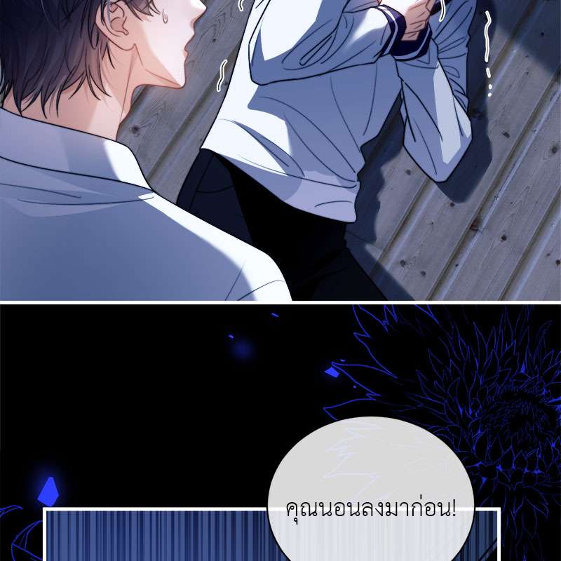 หน้า 31