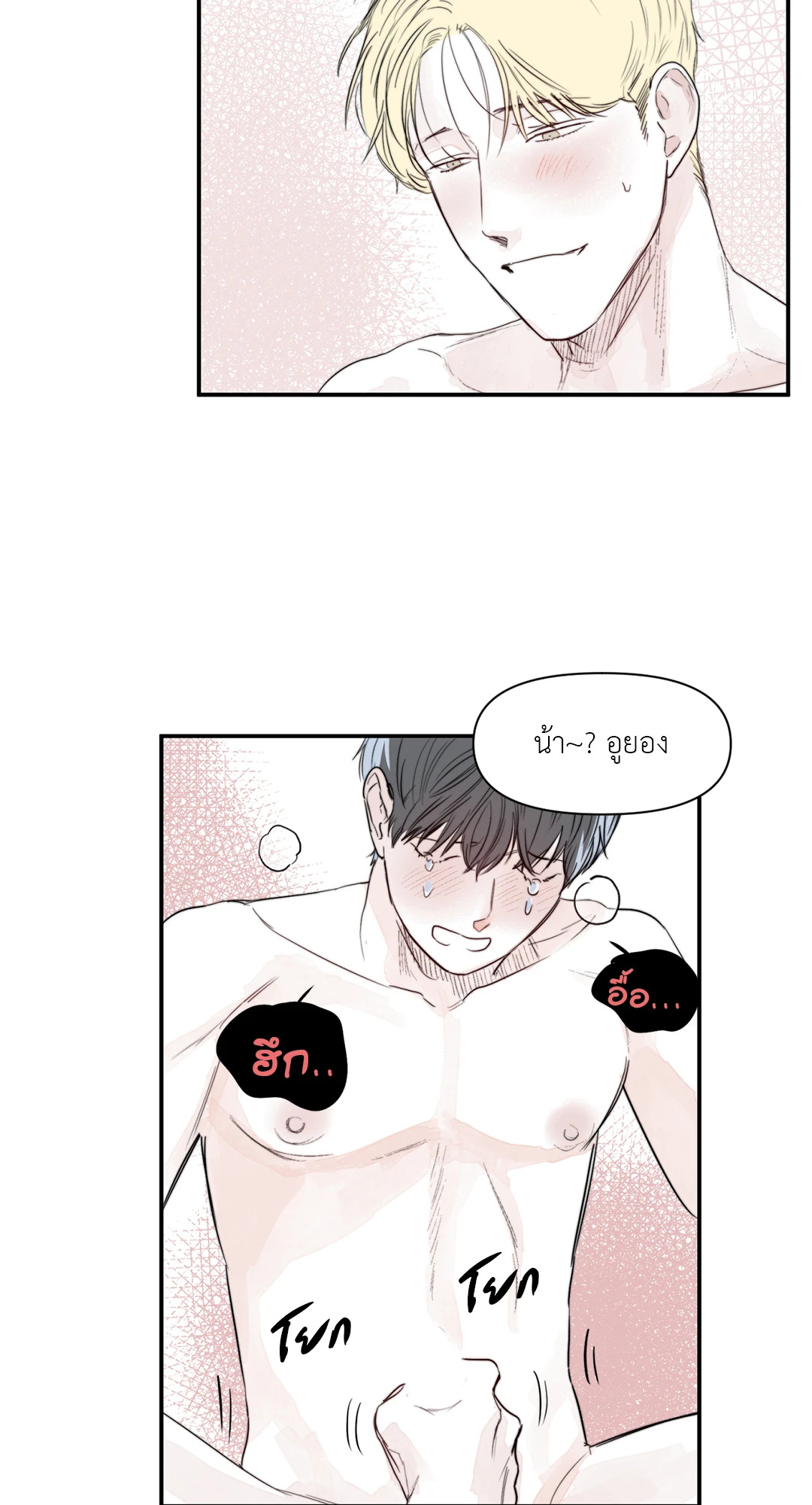 หน้า 41
