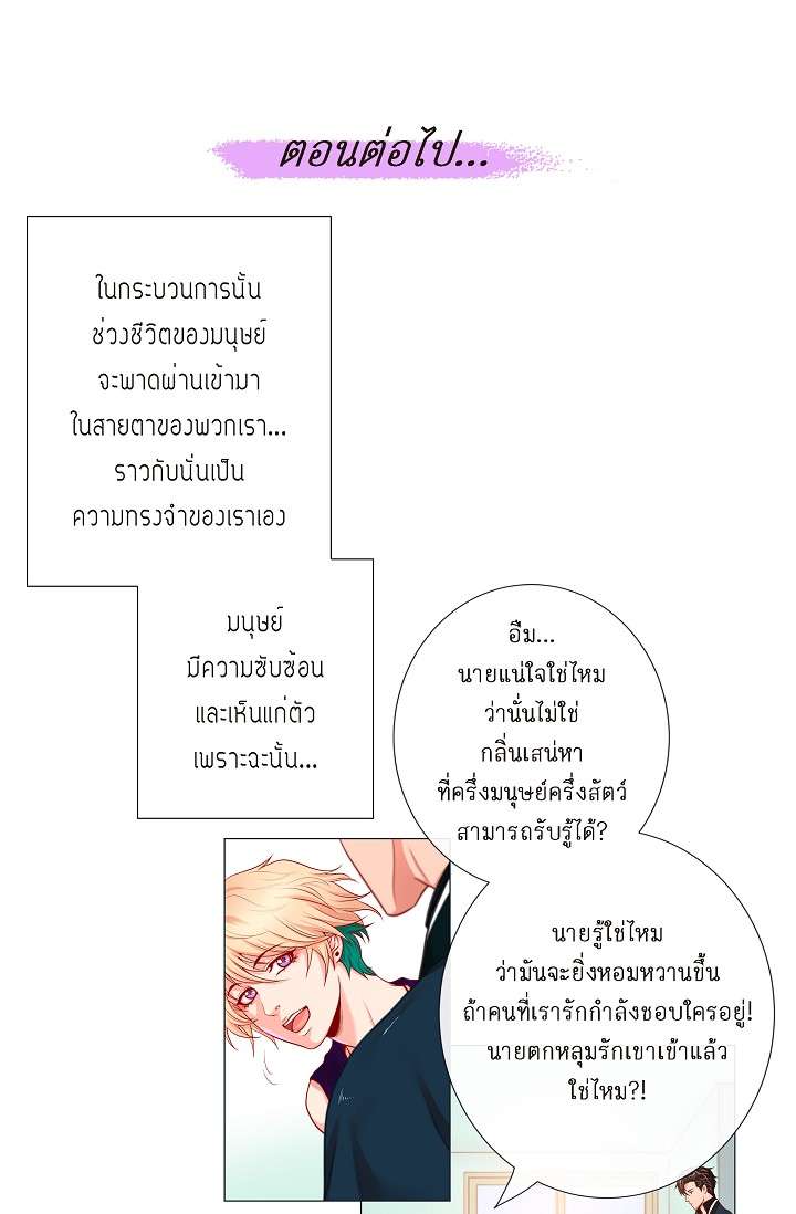 หน้า 51