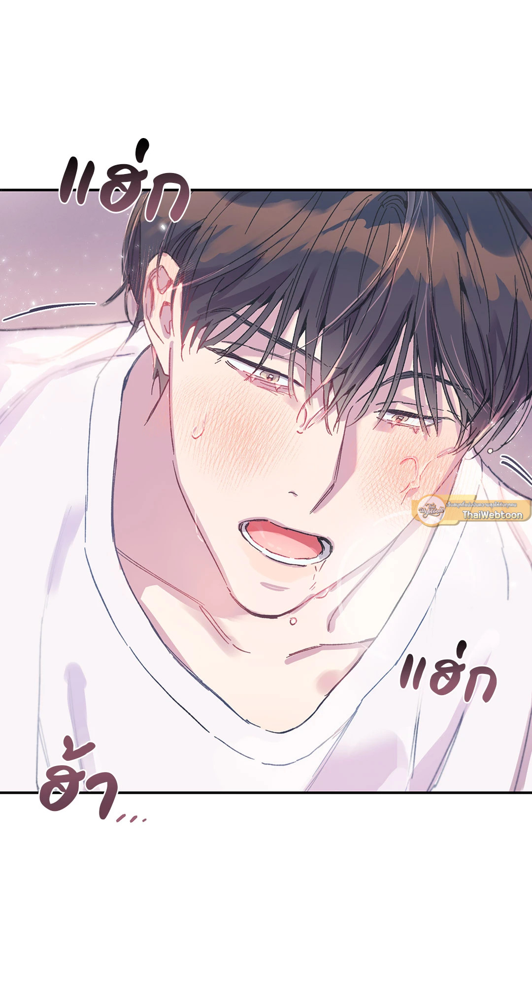 หน้า 51