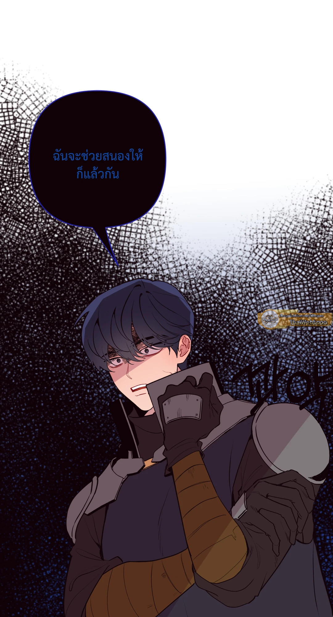 หน้า 13