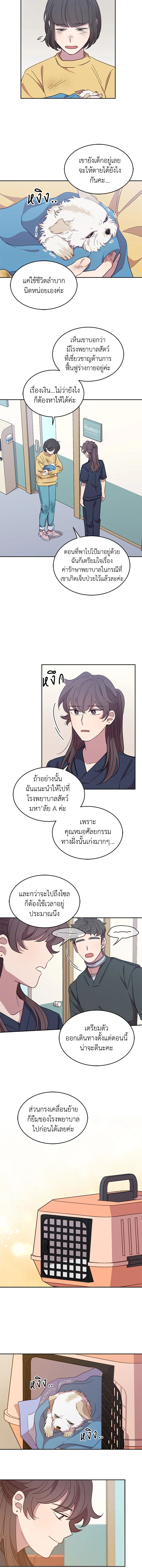 โรงพยาบาลสัตว์ไร้พรมแดน | An Animal Hospital in the Border Area ตอนที่ 19 - รูปที่ 2