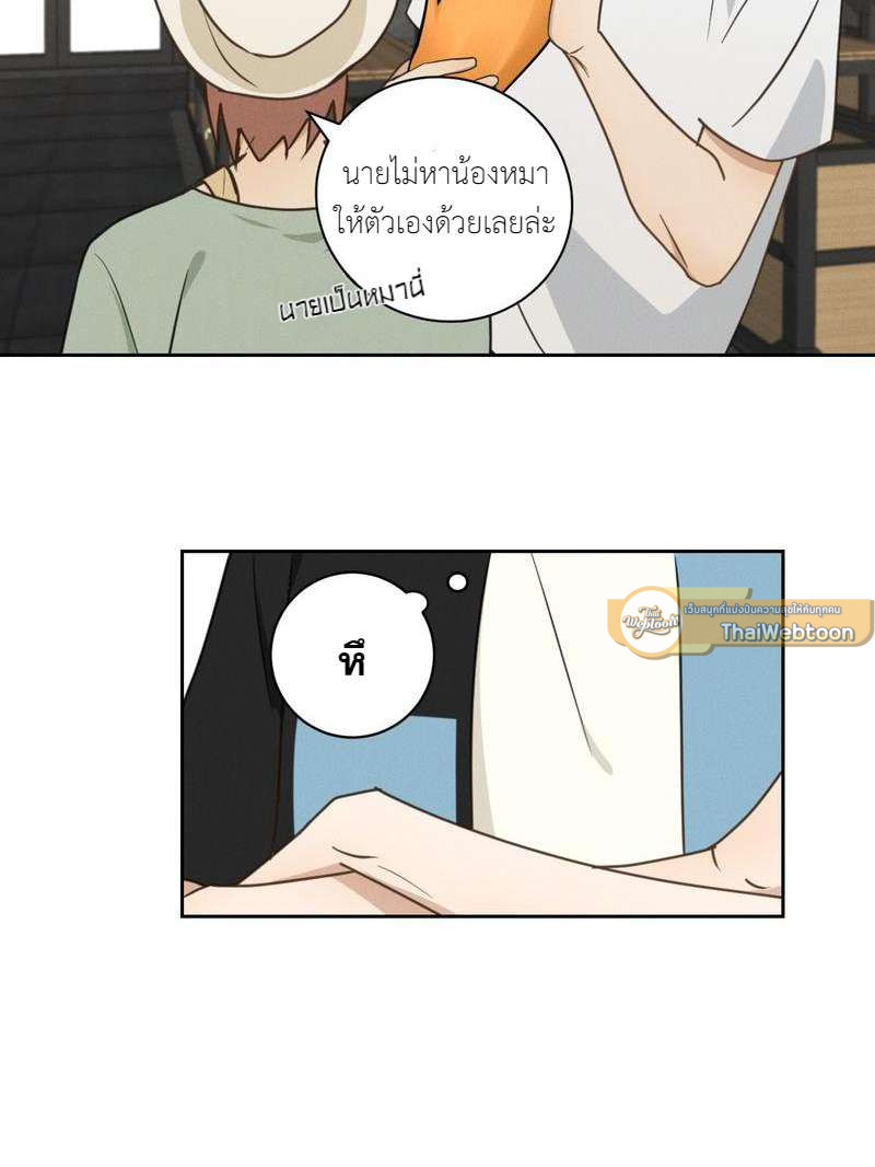 หน้า 41