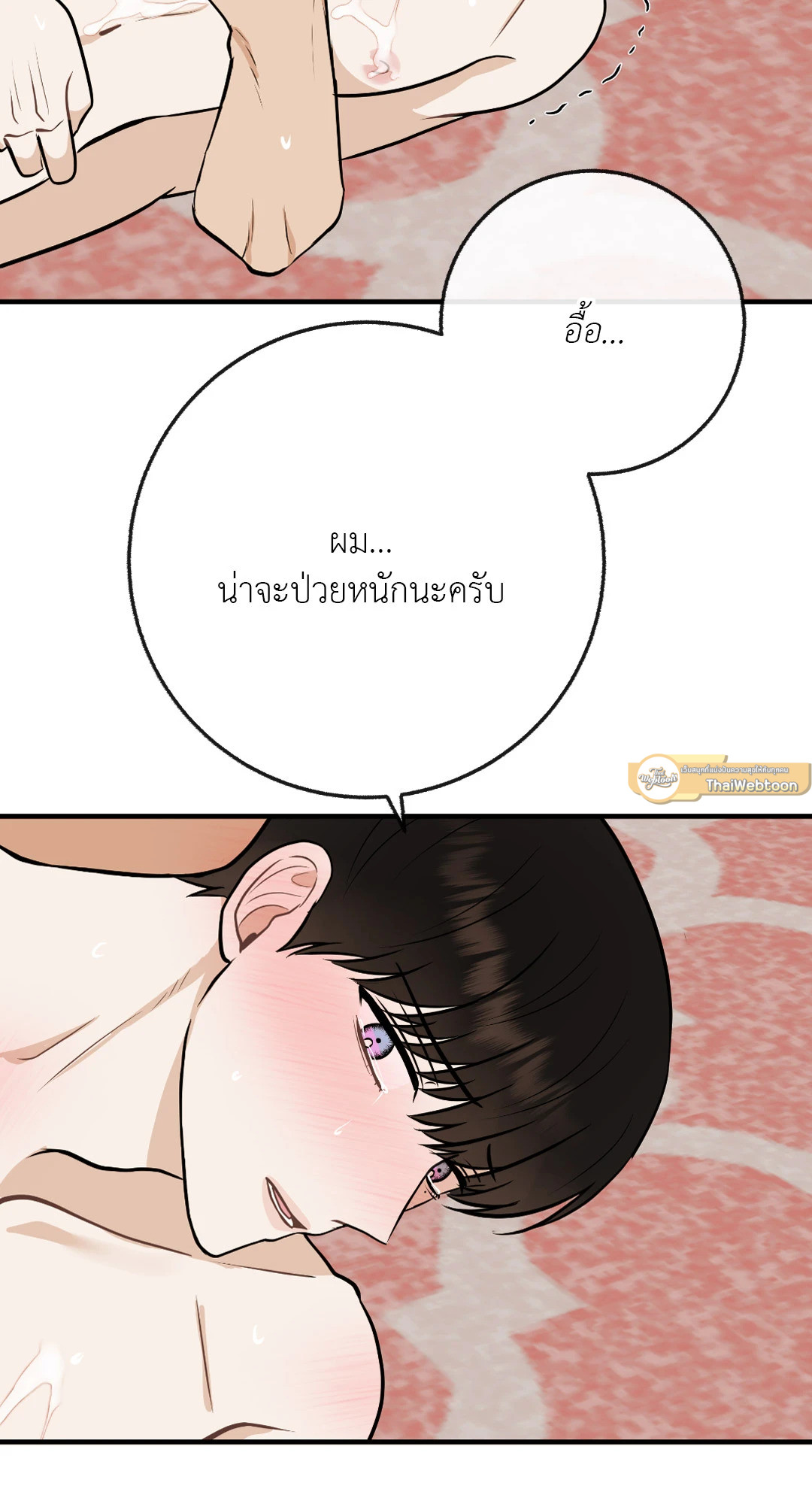 หน้า 43