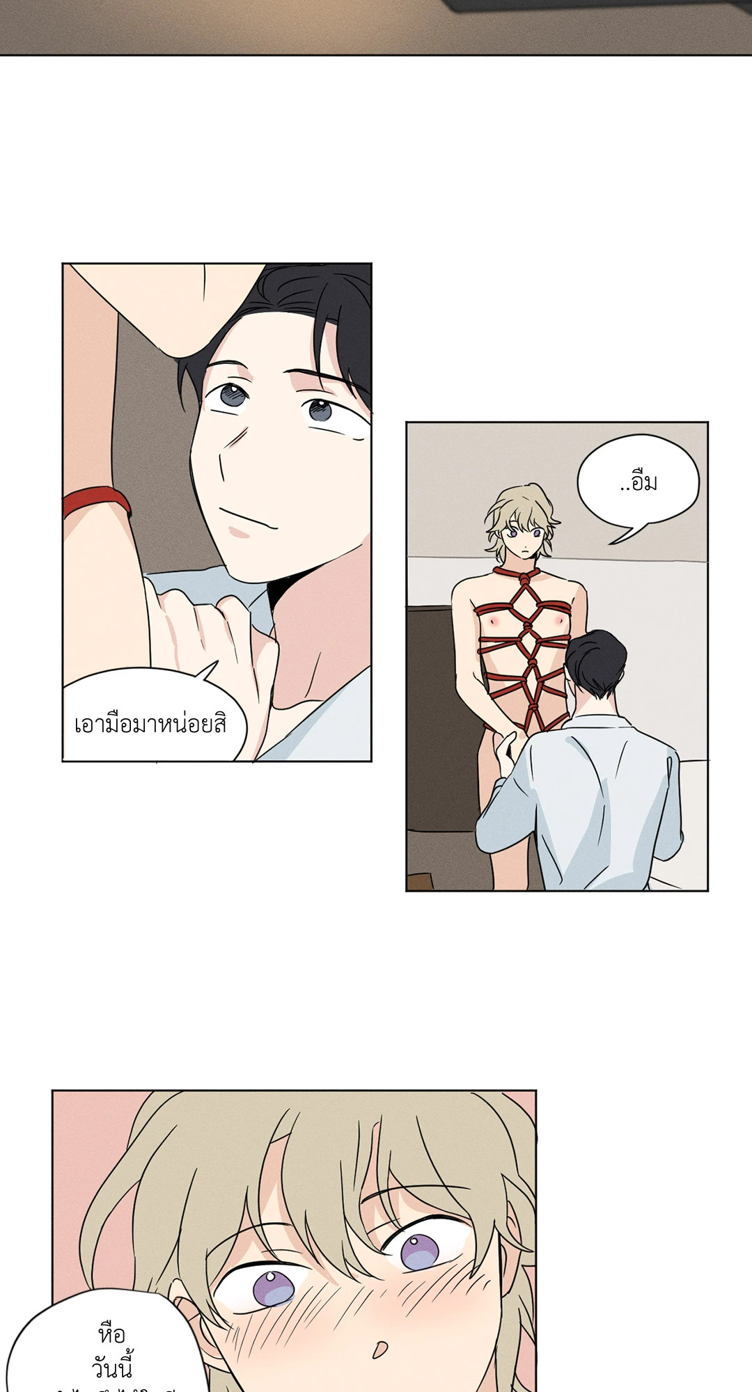หน้า 29
