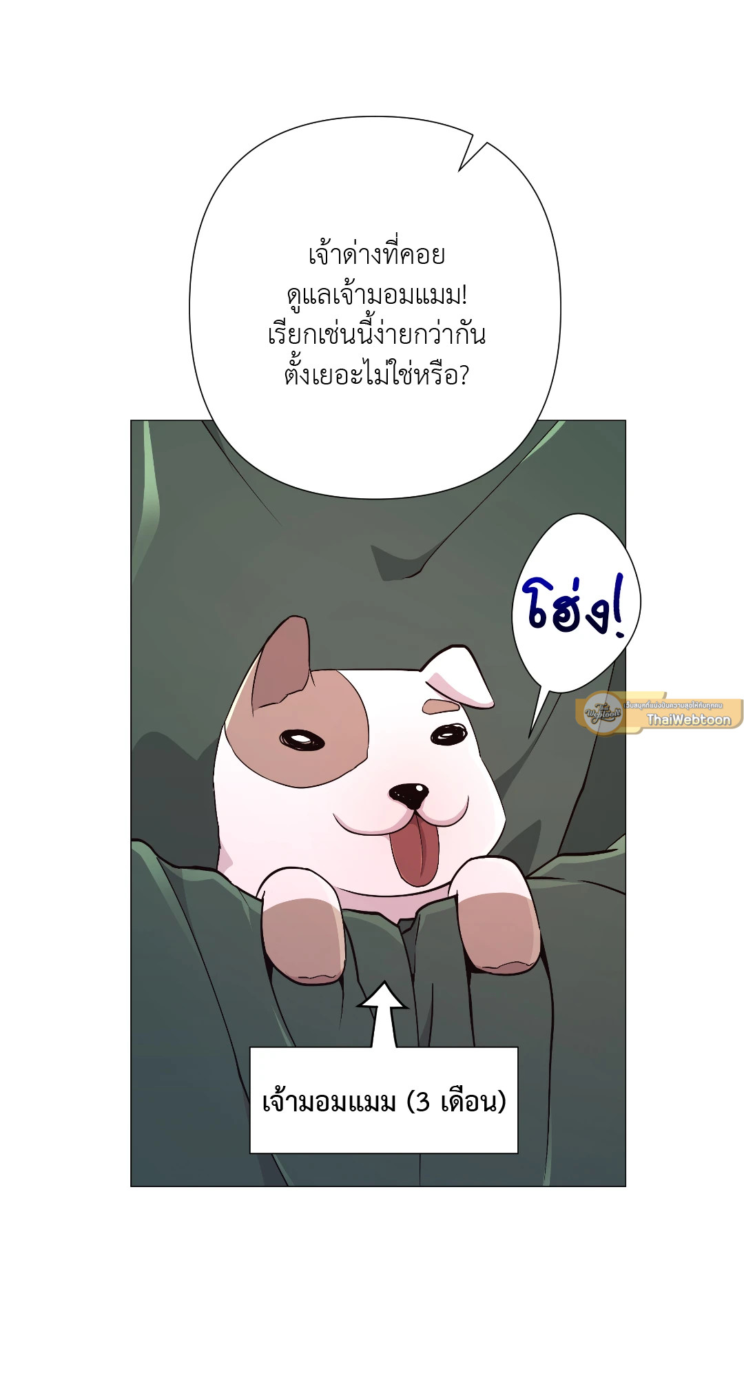 หน้า 29