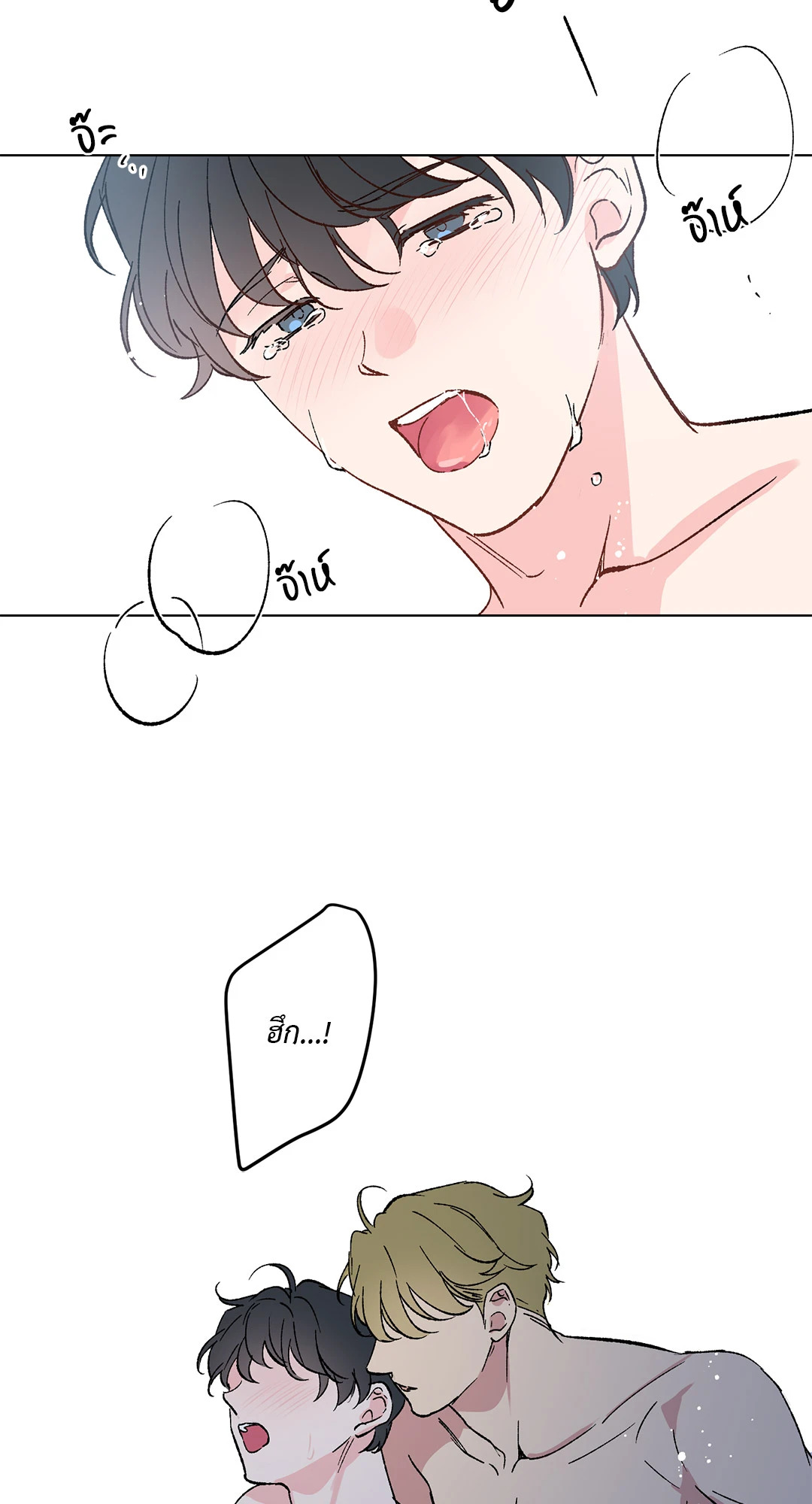 หน้า 43
