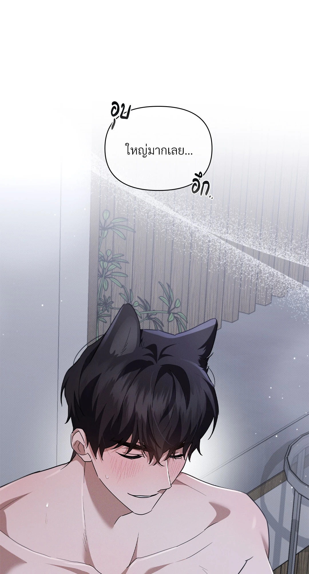 หน้า 43
