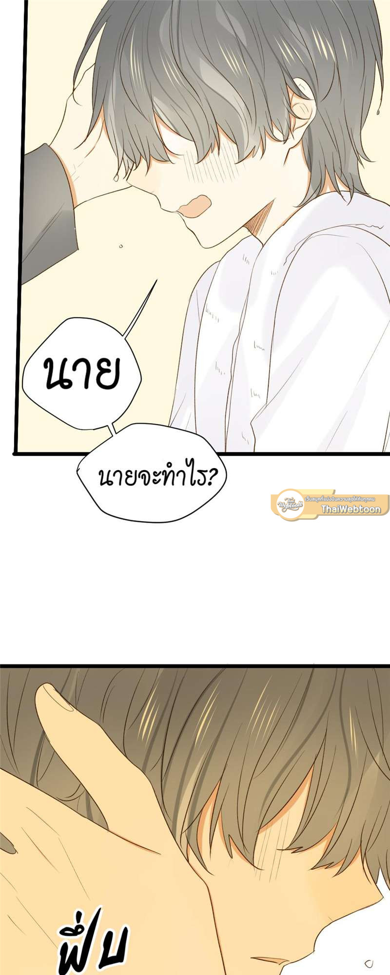 หน้า 28