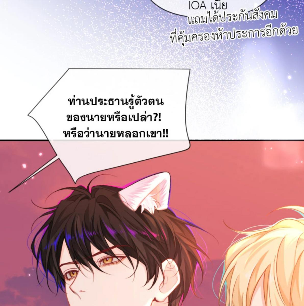 หน้า 51