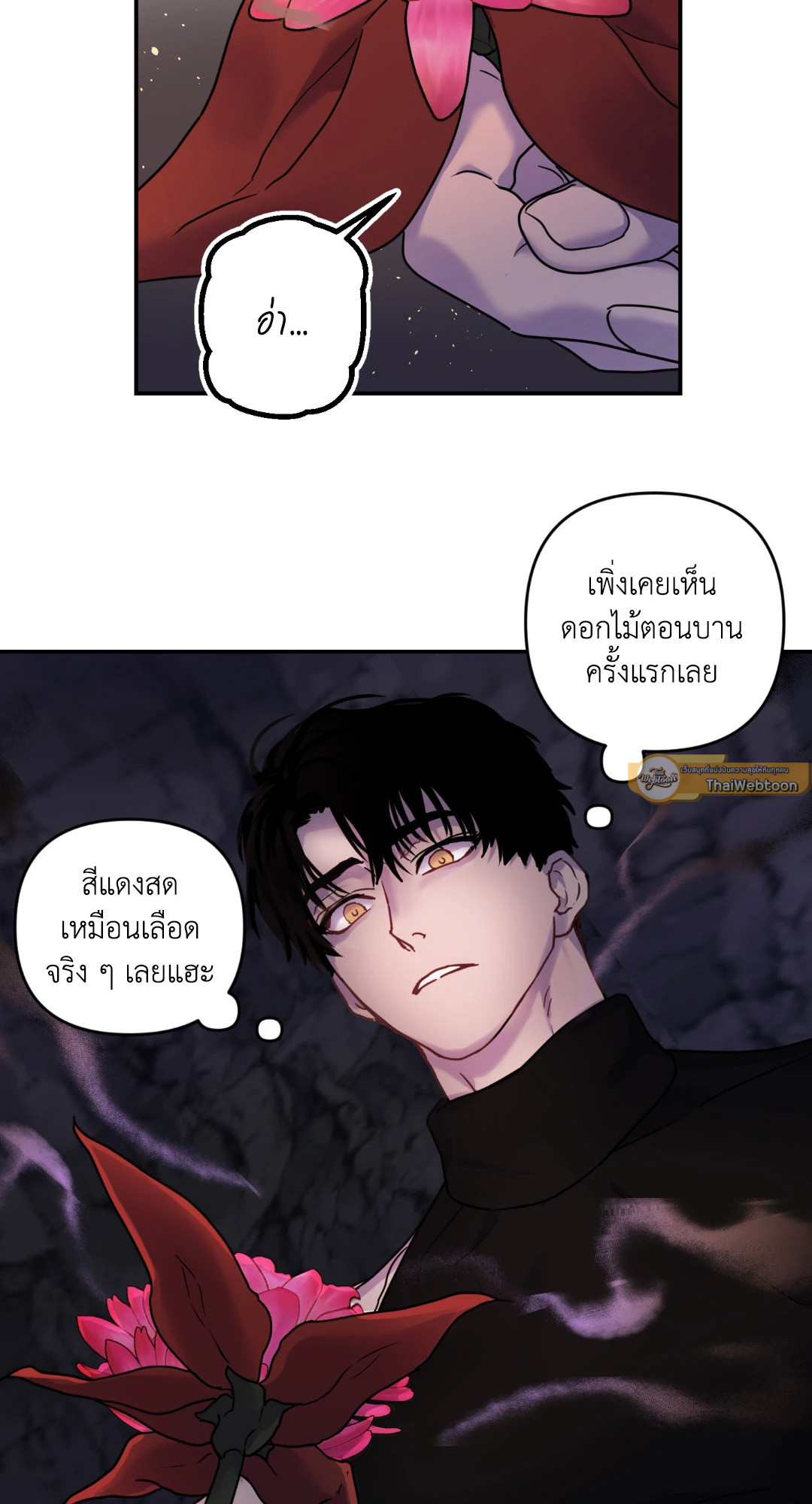 หน้า 61