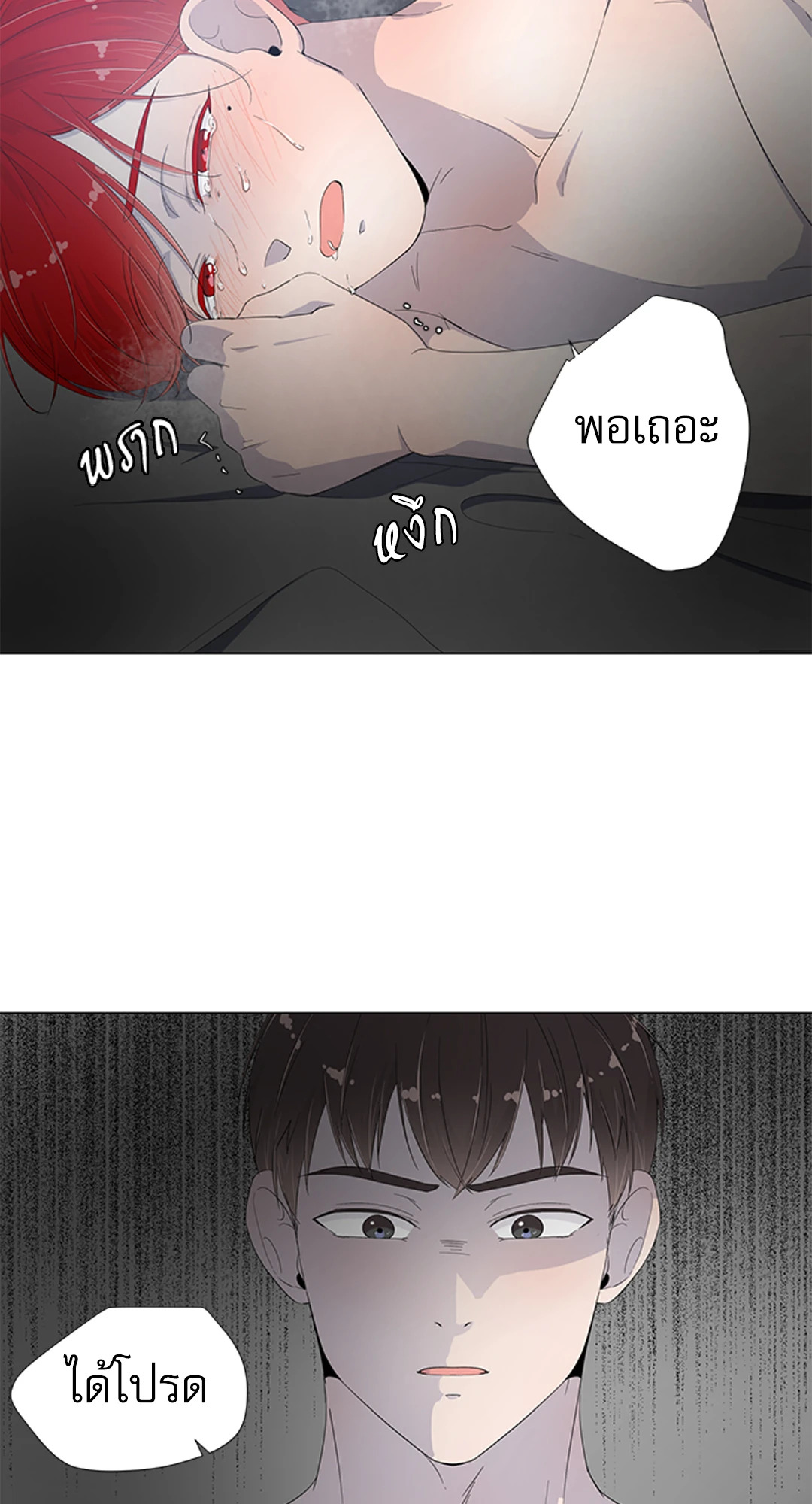 หน้า 51