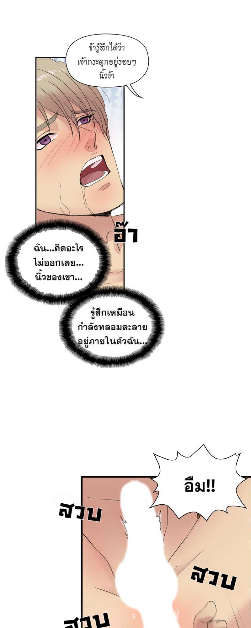 หน้า 43