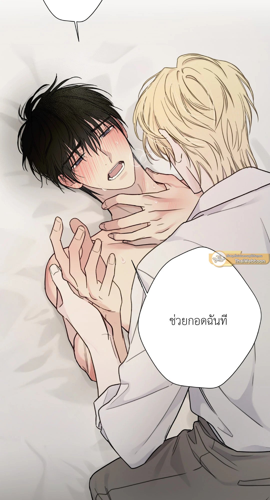 หน้า 31