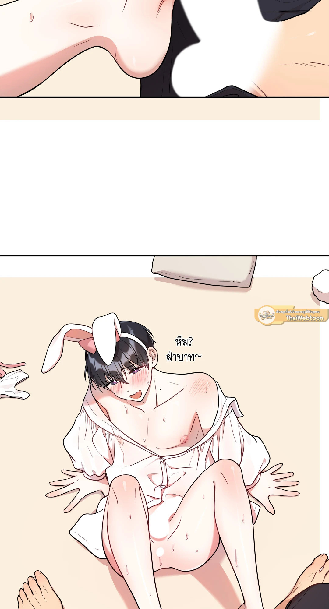 หน้า 41