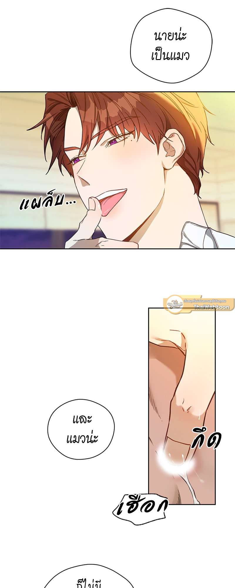หน้า 53