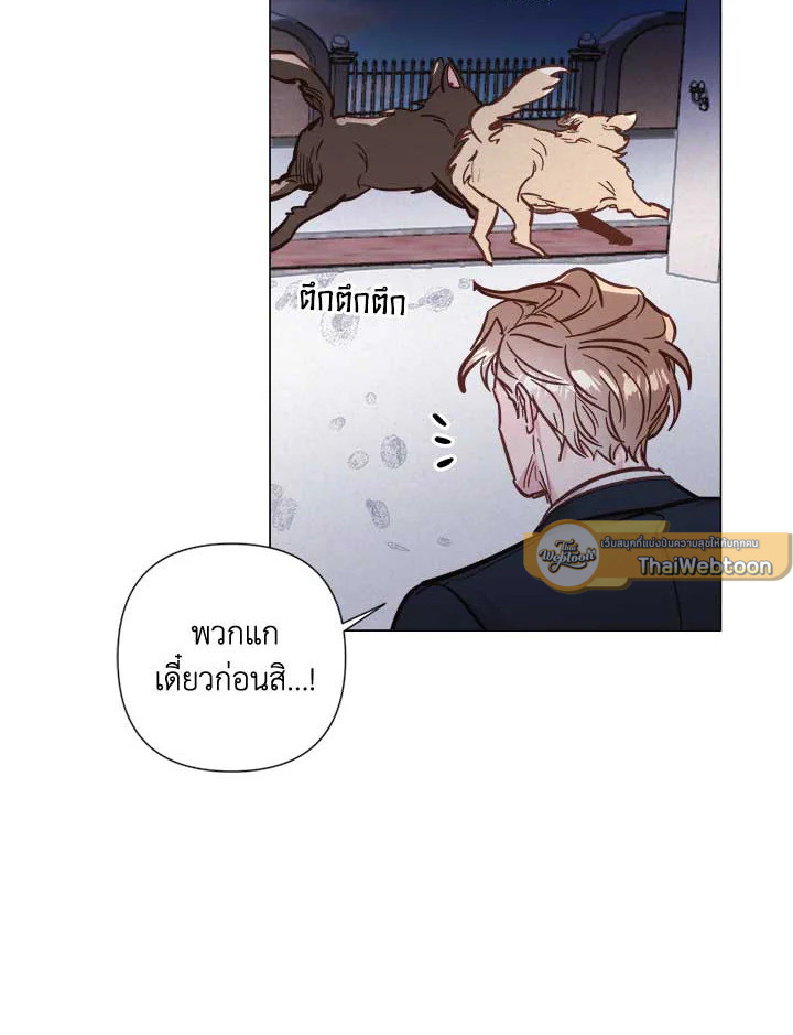 หน้า 61