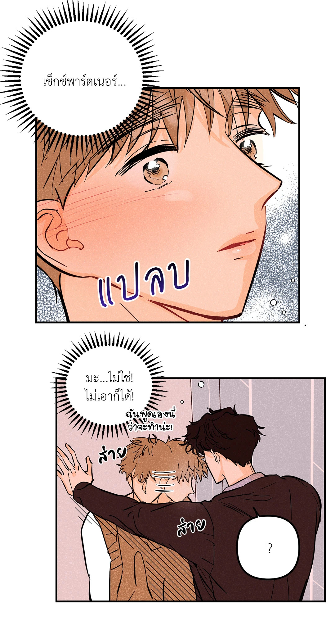 หน้า 29