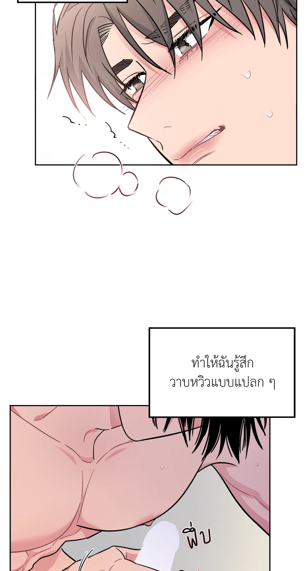 หน้า 43