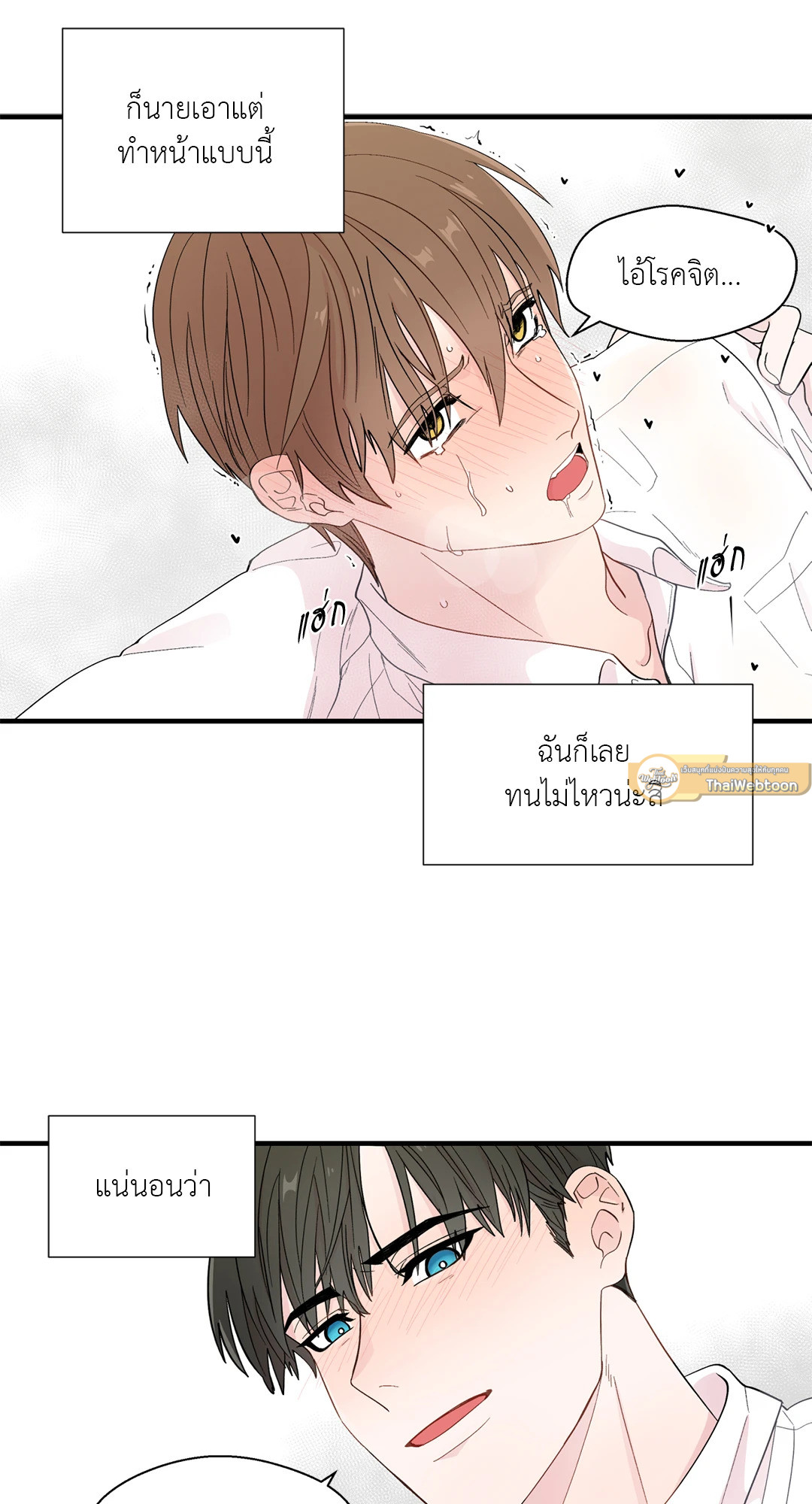 หน้า 51