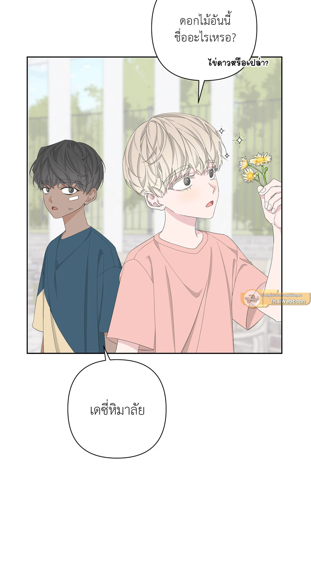 หน้า 31